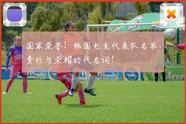 国家荣誉！韩国电竞代表队名单，责任与荣耀的代名词！