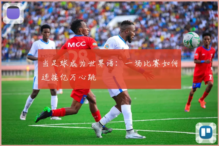 当足球成为世界语：一场比赛如何连接亿万心跳